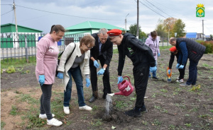Аллея станет украшением села