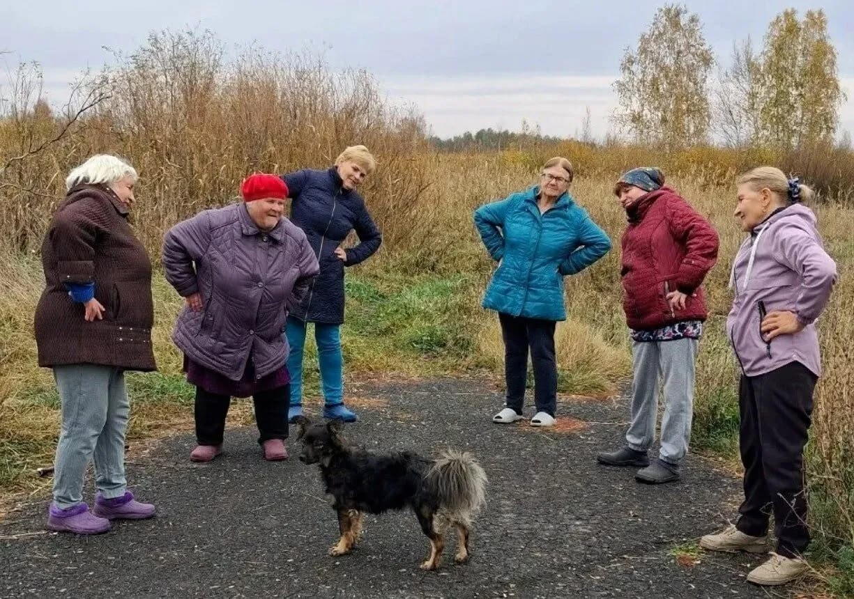 «Равнение на Шарика!»: местный пес принял зачет по физкультуре у пенсионеров и остался доволен