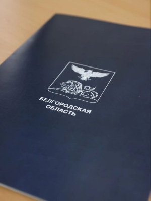 Благодарность белгородцев курганцам